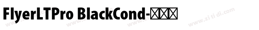 FlyerLTPro BlackCond字体转换 FlyerLTPro BlackCond字体转换